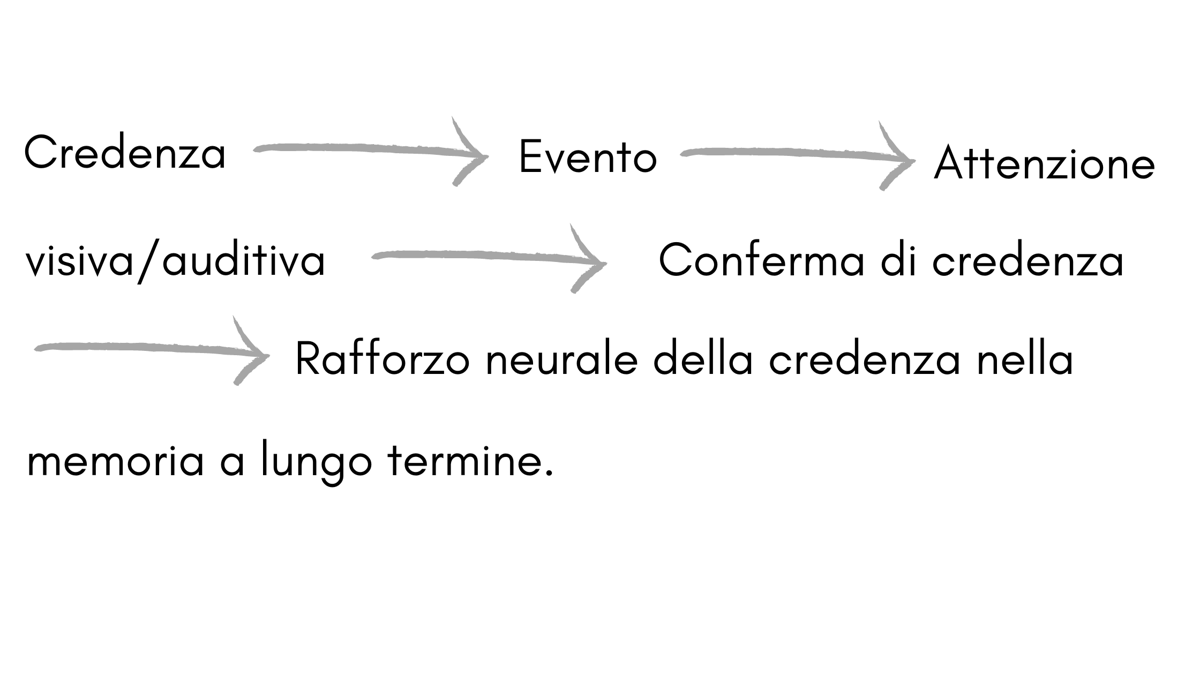 Schema: credenza, evento, attenzione visiva/auditiva, conferma di credenza, rafforzo neurale della credenza nella memoria a lungo termine