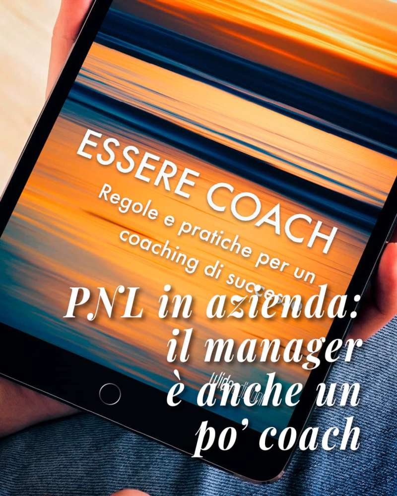 Guida i colloqui con l’OMI Model: osserva, modifica, installa e aiuta i clienti a trovare risposte con il Meta e Milton Model della PNL.